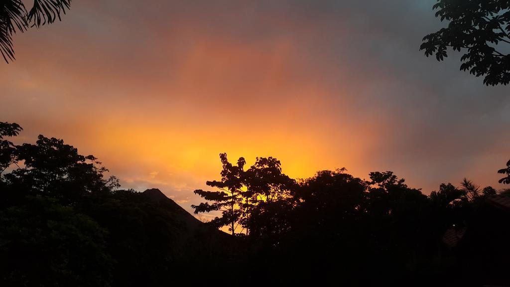 Hotel Tangara Arenal B&B La Fortuna Екстер'єр фото