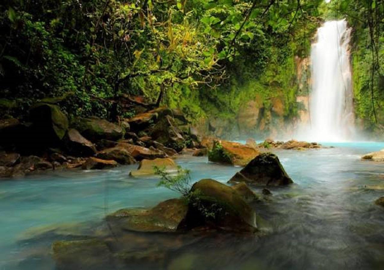 Hotel Tangara Arenal B&B La Fortuna Екстер'єр фото